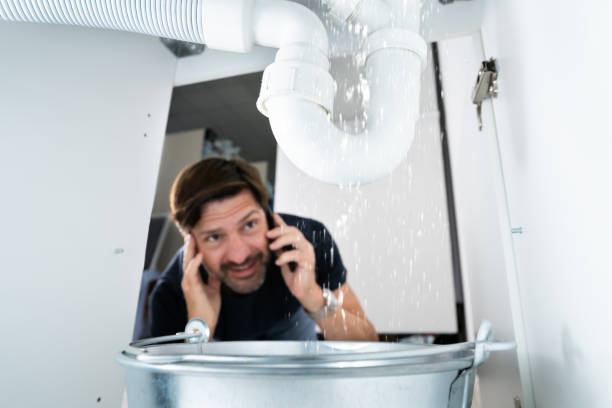 Best Affordable Plumbing Services  in Iowa Falls, IA