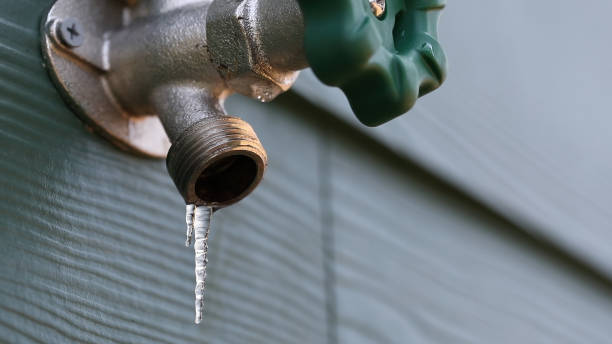 Best Drain Cleaning Services  in Iowa Falls, IA